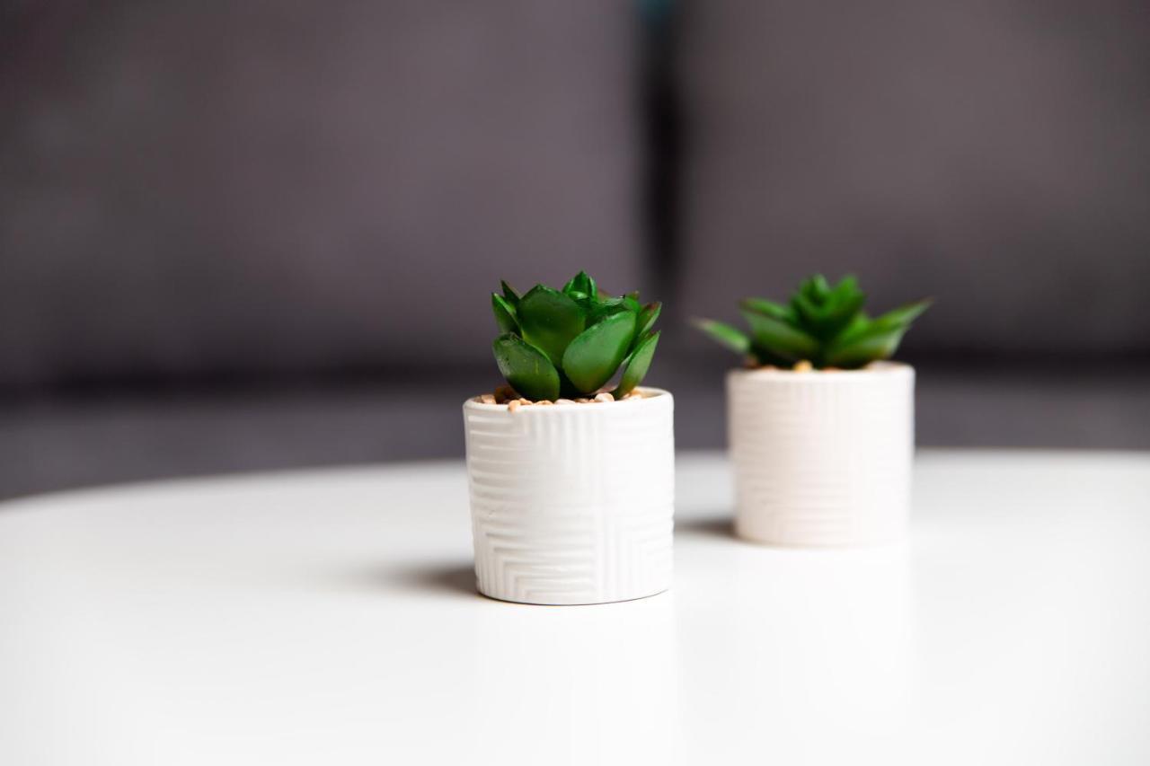Zen 6 Daire Viskovo Dış mekan fotoğraf
